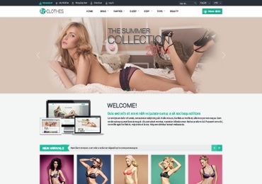 E-commerce Website Designs